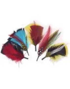 Akubra Hat Feather - 2 pcs per order