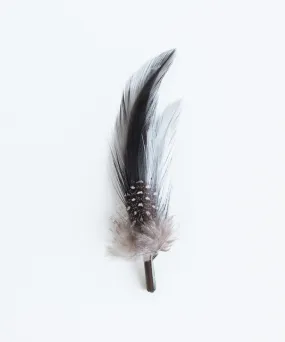 Black Feather