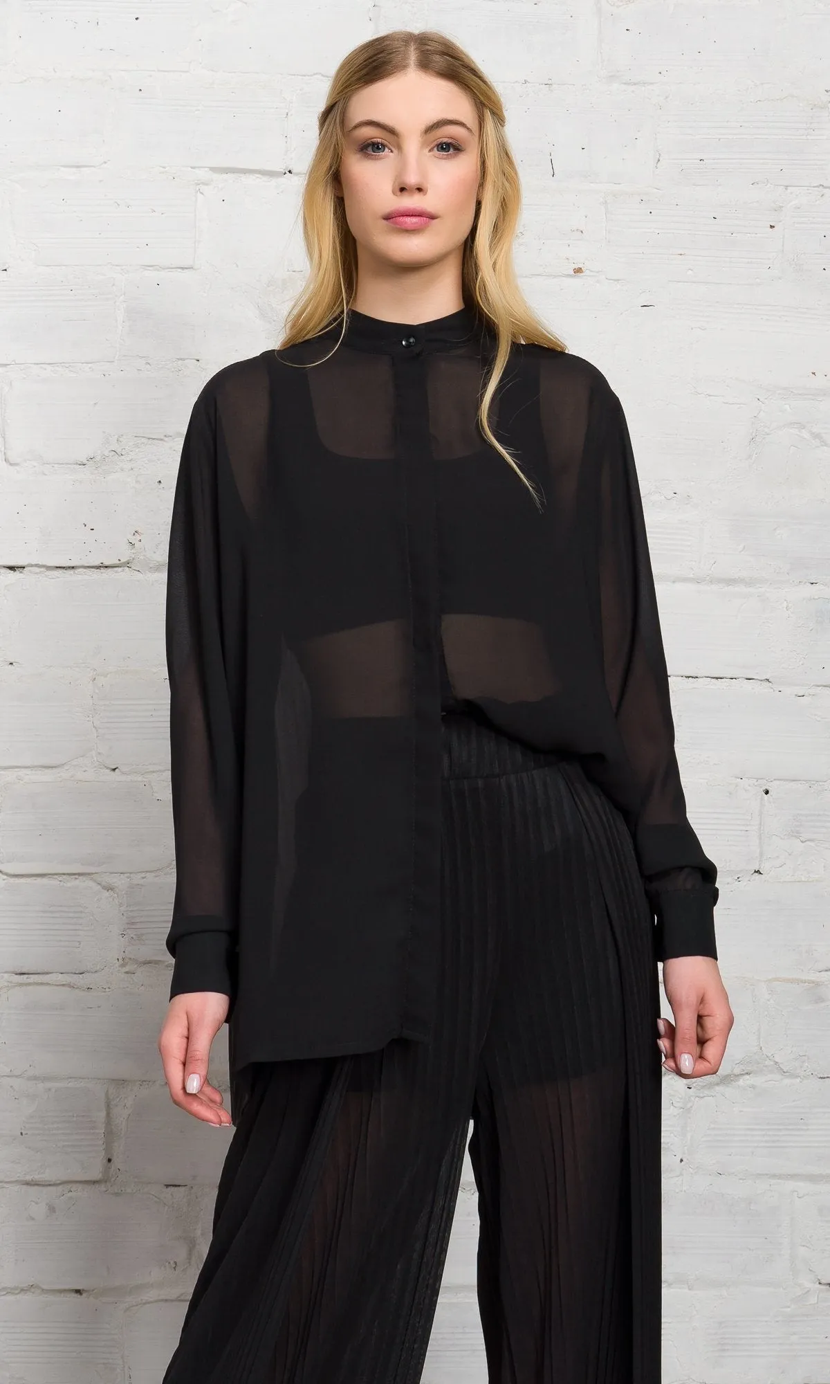 Pleated Back Sheer Shirt