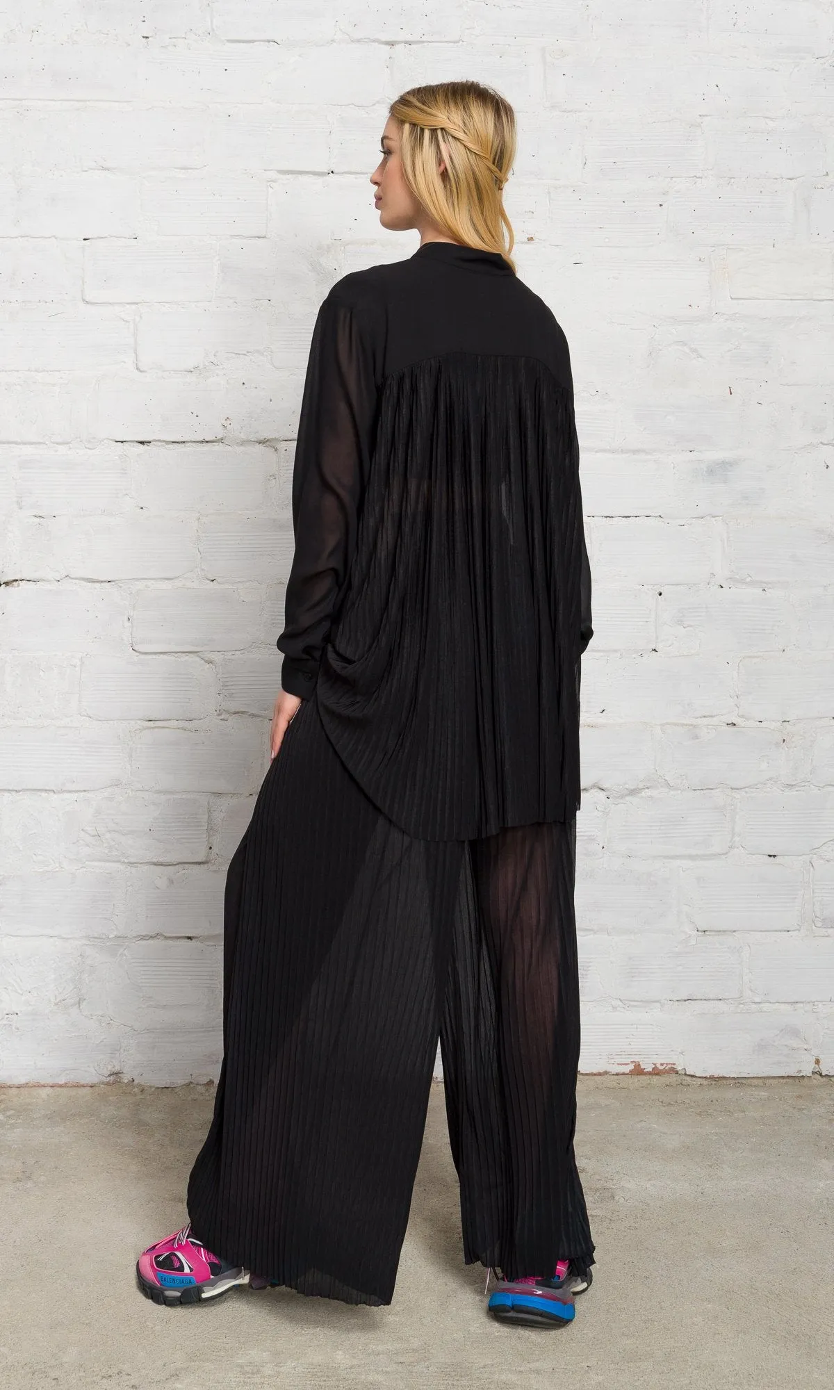 Pleated Back Sheer Shirt