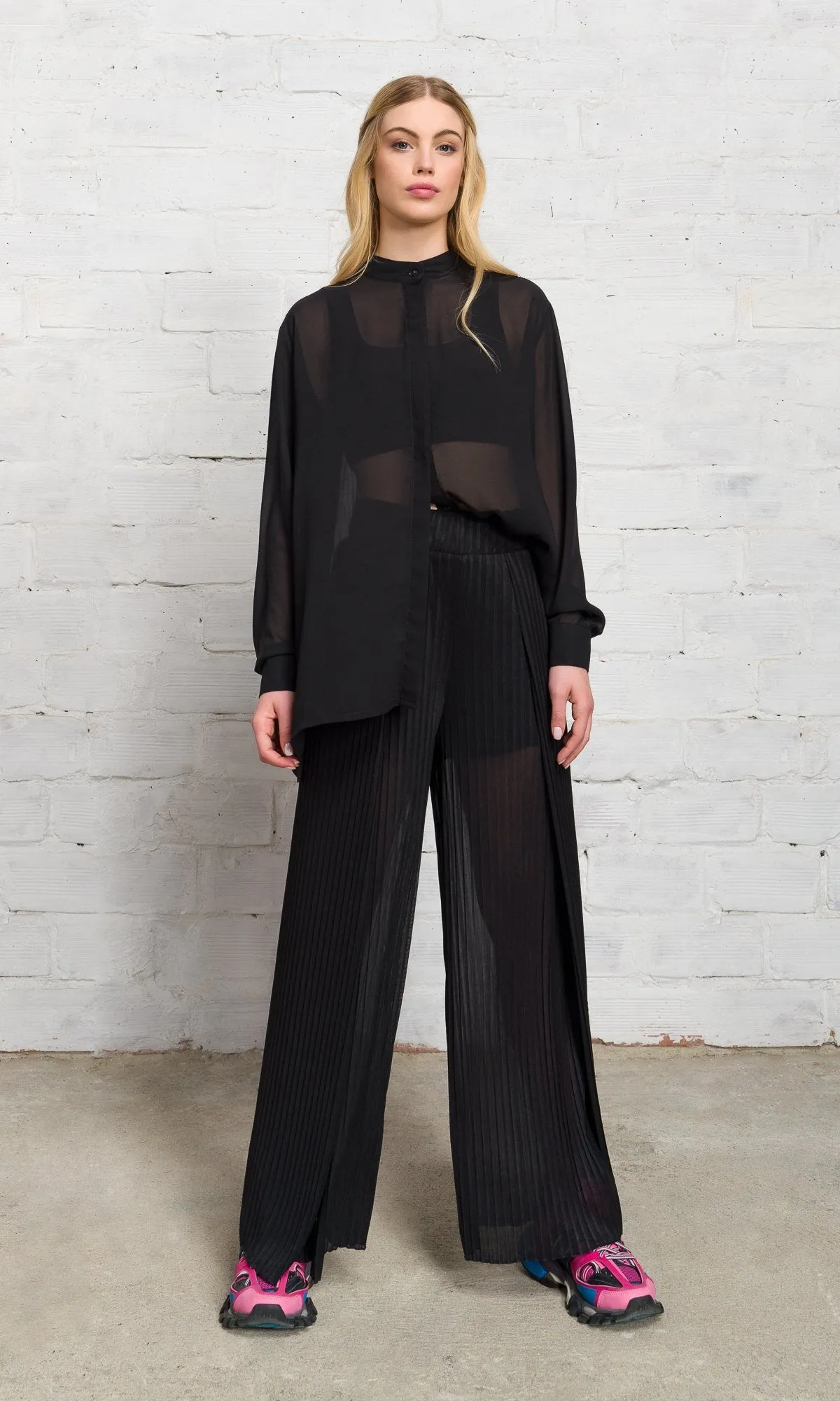 Pleated Back Sheer Shirt