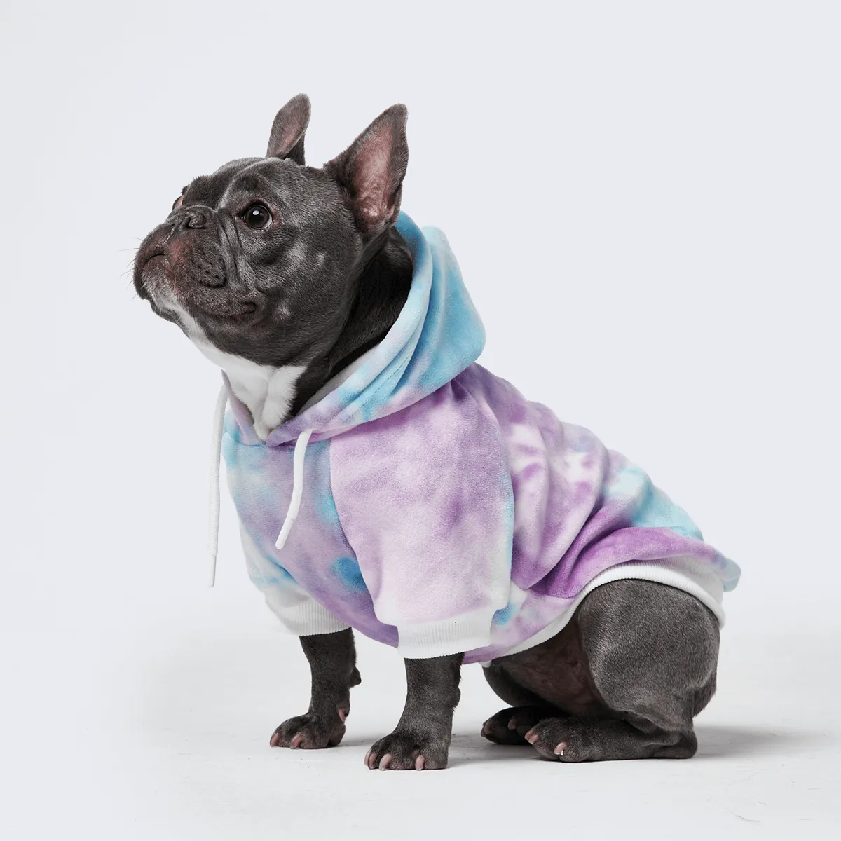 Velvet Dog Hoodies